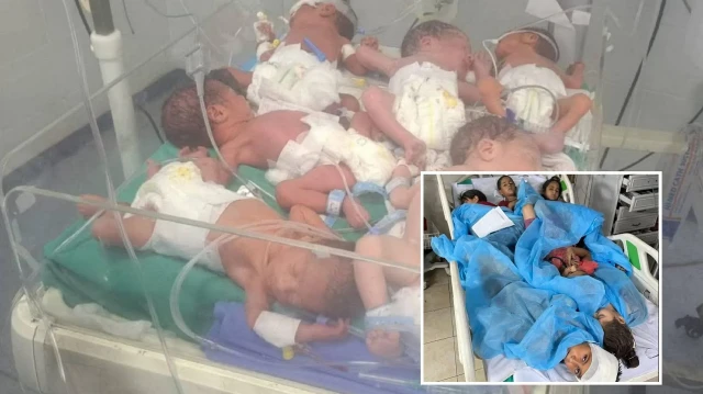 Gazze’de 6 bebek aynı kuvözde yaşam mücadelesi veriyor