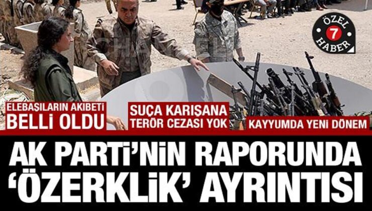 AK Parti’den terör kapısını mühürleyecek rapor: Federasyon yok, SDG şart, eve dönene imkan