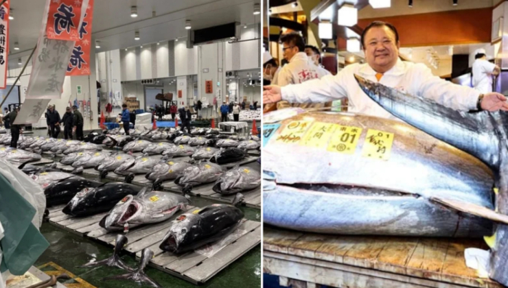 Japonya’da bir orkinos 3,2 milyon dolara satıldı