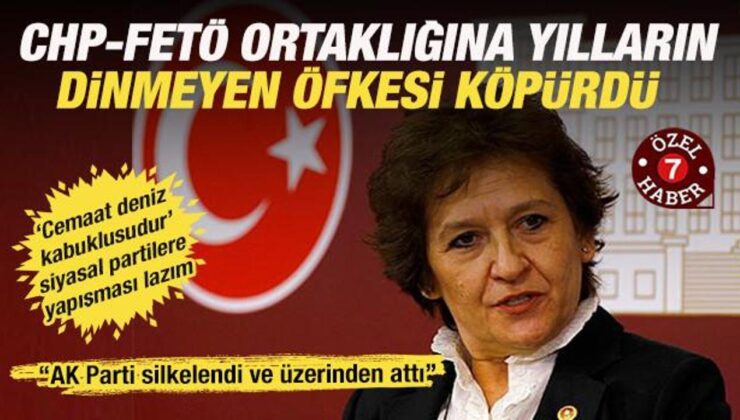 CHP’li Güler “FETÖ partilere yapışan bir deniz kabuklusu” AK Parti silkelendi kurtuldu!