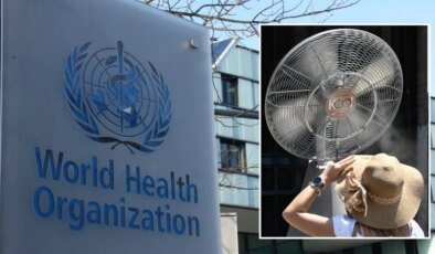 DSÖ: Avrupa’da yüksek sıcaklıklar nedeniyle 1300 kişi hayatını kaybetti
