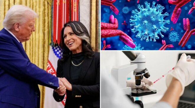 İstihbarat Direktörlüğünden istifa eden Gabbard ABD’nin ‘örtbas edilen’ laboratuvarlarını açıkladı