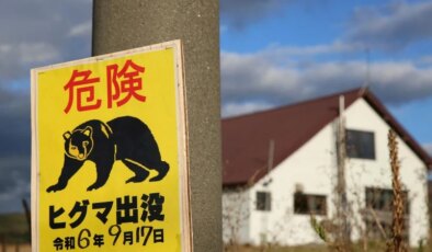 Japonya’da bir fabrikaya giren ayının ‘pencereyi açıp kaçtığı’ düşünülüyor