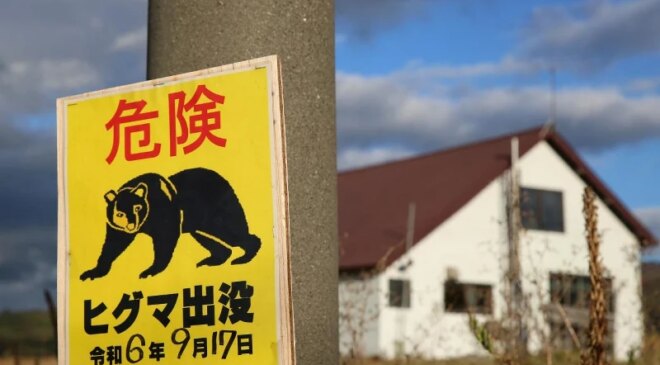 Japonya’da bir fabrikaya giren ayının ‘pencereyi açıp kaçtığı’ düşünülüyor
