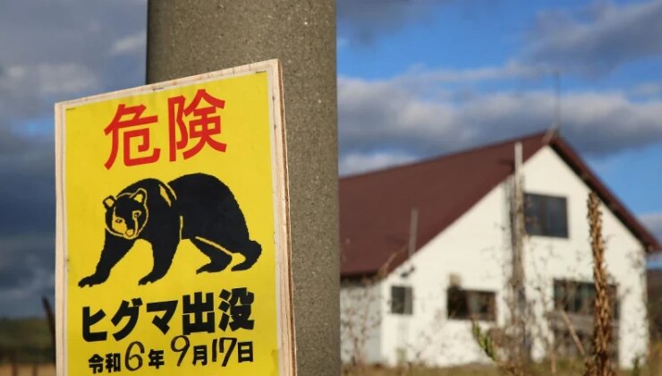 Japonya’da bir fabrikaya giren ayının ‘pencereyi açıp kaçtığı’ düşünülüyor